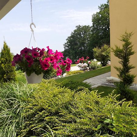 קאטסדורף Villa Casa Sol-Rural Residence Near Linz מראה חיצוני תמונה